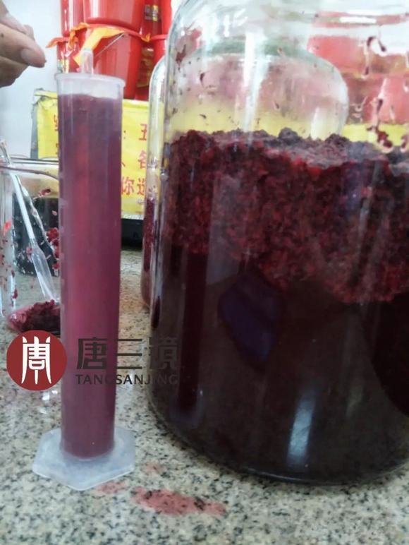 杨梅酒的酿酒技术配方,终于公布啦!