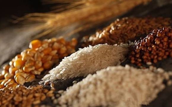 白酒什么是纯粮固态发酵