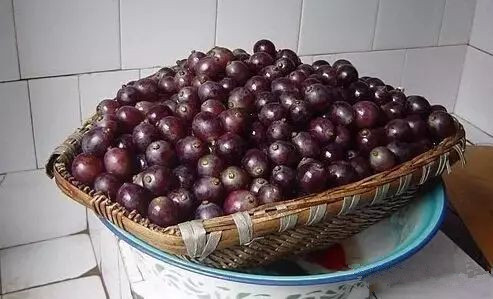 家庭自酿葡萄酒,需要注意哪些细节?