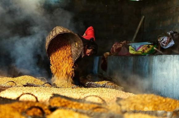 苞谷酒酿造技术