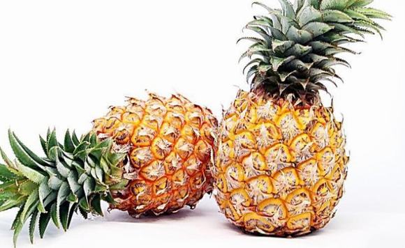 菠萝酒酿酒技术方法