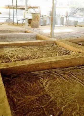 如何修建发酵池,发酵池有什么作用?