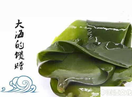 涨知识,海带也能酿酒?_调制酿造