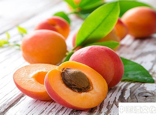 杏也能酿酒,美味杏子酒酿造方法_调制酿造