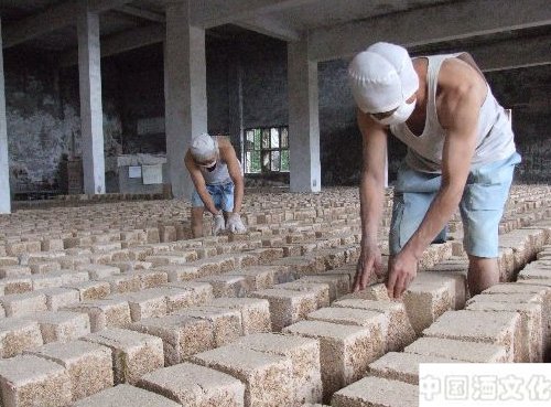 名优酒厂制曲工艺实例之泸州老窖制曲_调制酿造_