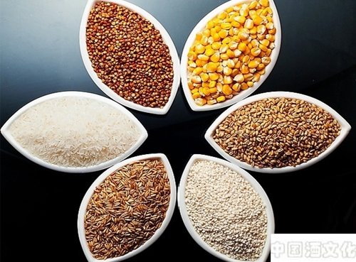 白酒酿造微生物知识之细菌的特性_调制酿造