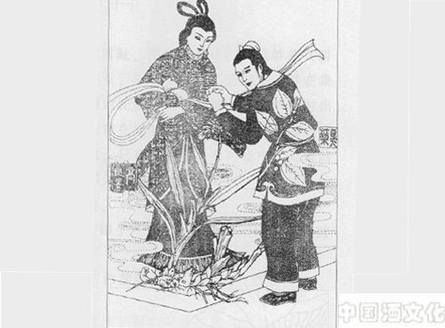 行气止痛剂:天台乌药散_调制酿造