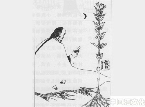 清热利湿剂:清肝渗湿汤_调制酿造