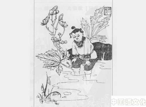 疏散外风剂:小活络丹_调制酿造