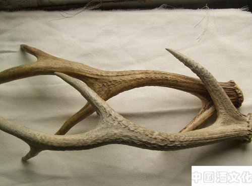 三至宝酒_调制酿造