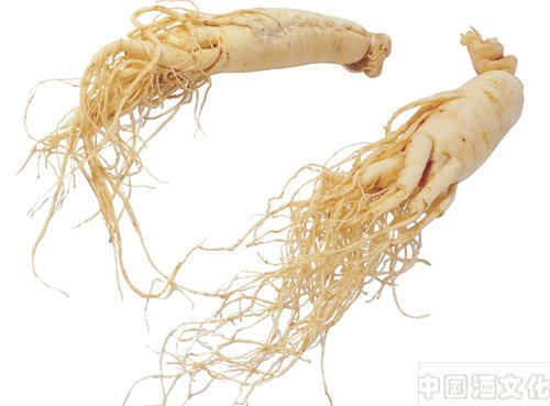 养胃酒_调制酿造