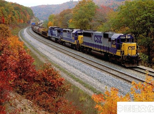 酒政法规:散装米酒能带上火车吗?_酒政法规_