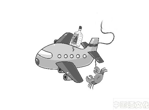 飞机上到底能不能带酒?能带的话可以带多少?_酒政法规