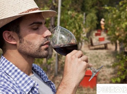 六招教您如何鉴别葡萄酒的真伪_品酒养生