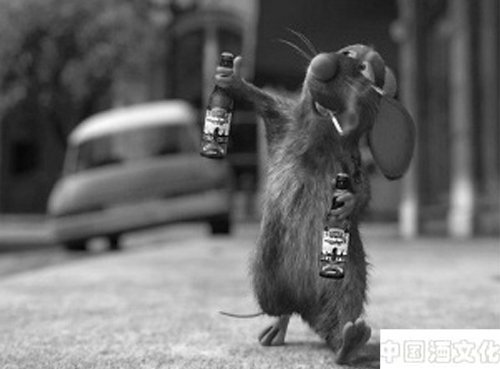 老鼠也会喝醉酒?_酒史文化