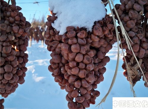 安大略省:冰葡萄酒王国的疆土_酒史文化