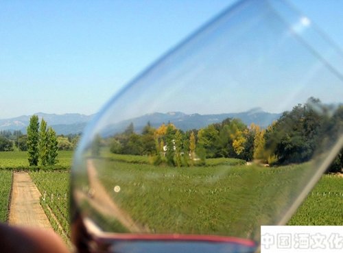 特殊的欧洲葡萄酒_酒史文化