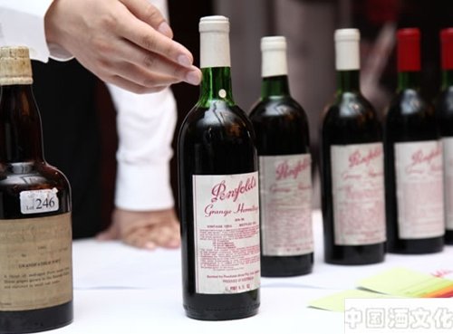 奔富酒厂的创立历史_酒史文化