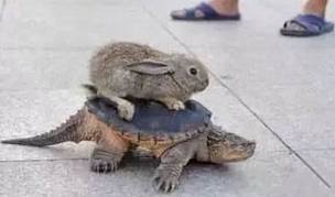 装逼必备的10经典语录