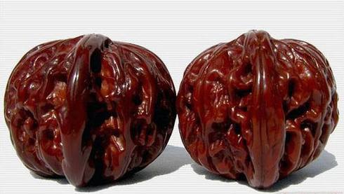 做个文化人 了解核桃的收藏艺术