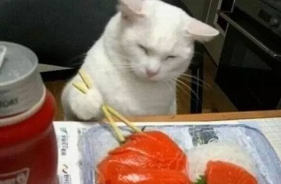 艺术界装逼速成指南