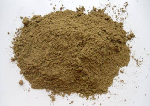 无鱼粉饲养蛋鸡日粮,少花钱,多下蛋_养鸡