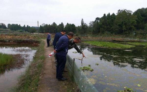 龙虾养殖中的水质要求_养虾