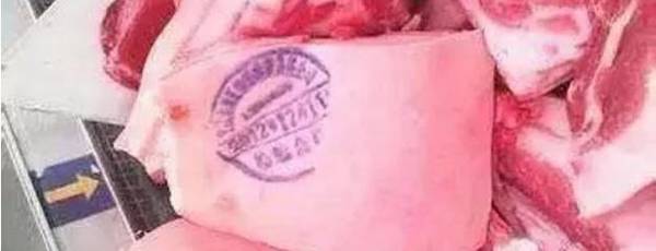 宰杀好的母猪盖什么章_养殖问答