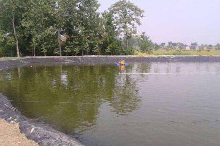 鱼塘下尿素多长时间鱼开口_养鱼