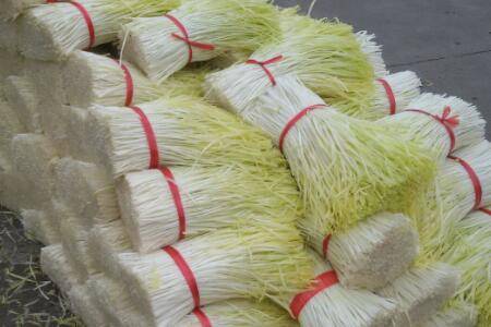 韭菜倒伏是什么原因,韭菜倒伏的防治措施有哪些_蔬菜种植