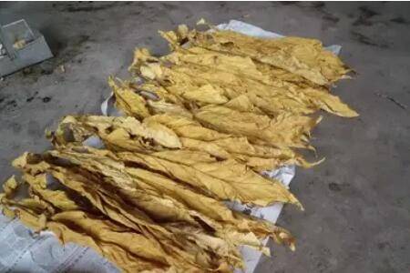 给鸡驱虫的土方法有哪些_养鸡