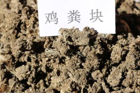 羊粪是不是酸性肥料_农药肥料