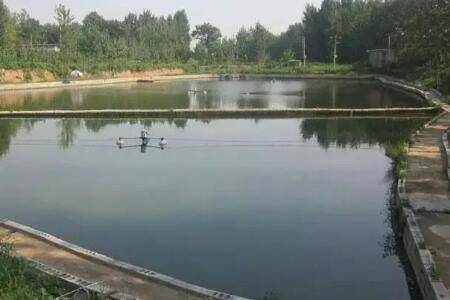 鱼最怕什么农药,菊酯类农药严禁使用_养鱼