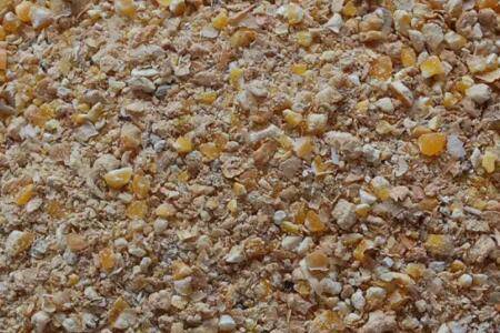 产蛋鸡的实用饲料配方_养鸡