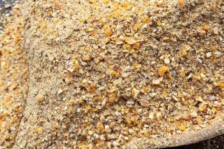 蛋雏鸡的常用饲料配方_养鸡