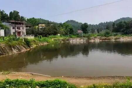 鱼塘增肥用什么肥料_养鱼