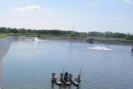 养虾水质的具体要求有哪些_养虾