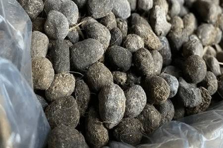 怎么把羊屎发酵成有机肥_农药肥料