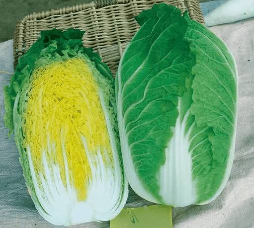 ЩײƷֺãԥӭԥϰ_ֲ߲