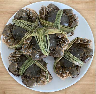 几月份吃大闸蟹最好_养蟹