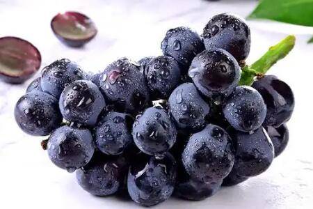 黑加仑葡萄的品种特性_瓜果种植