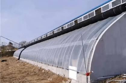 养猪棚湿气太重的解决办法_养猪