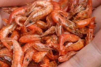 河虾干怎么晒?_养虾