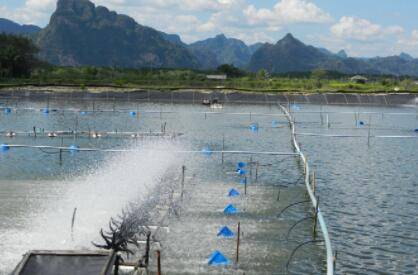 养虾ph值偏高怎么办_养虾