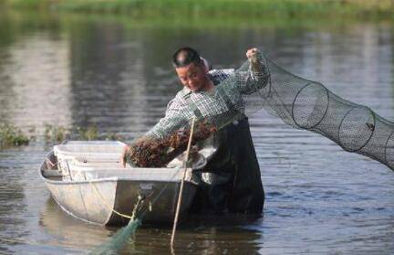 ��Ϻ����ֵ����Ϊ����_��Ϻ