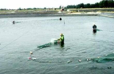 ��Ϻ����ֵ����Ϊ����_��Ϻ