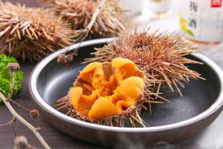 吃海胆有哪些注意事项_养鱼