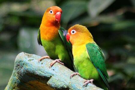 ���ĵ�����ù������ô�죿_��ֳ�ʴ�