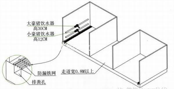 豪猪舍限位栏的设计要求_豪猪养殖