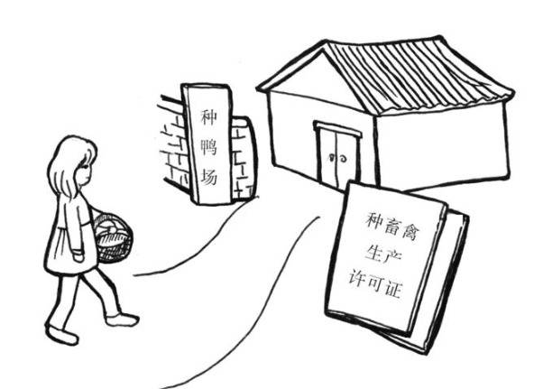 养鸭如何选择合格种蛋,从四个方面来挑种蛋_养鸭